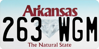 AR license plate 263WGM