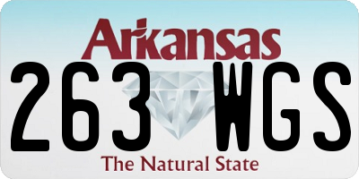 AR license plate 263WGS