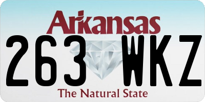 AR license plate 263WKZ