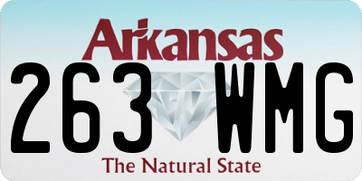 AR license plate 263WMG