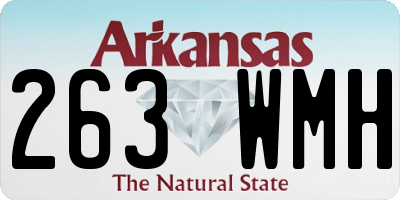 AR license plate 263WMH