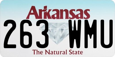 AR license plate 263WMU