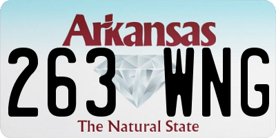 AR license plate 263WNG