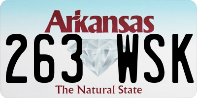 AR license plate 263WSK