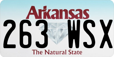 AR license plate 263WSX