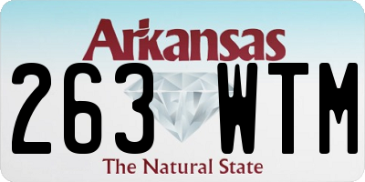 AR license plate 263WTM