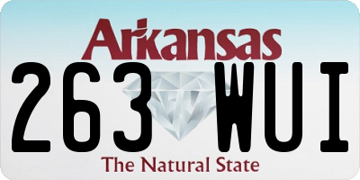 AR license plate 263WUI