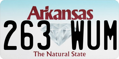 AR license plate 263WUM