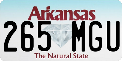 AR license plate 265MGU