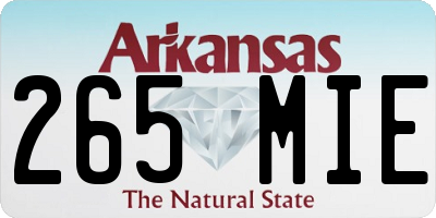 AR license plate 265MIE