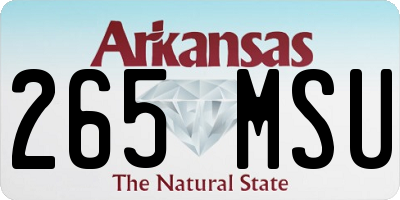 AR license plate 265MSU
