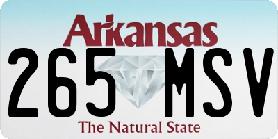 AR license plate 265MSV