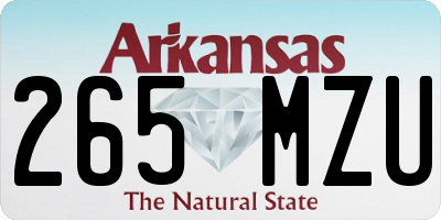 AR license plate 265MZU
