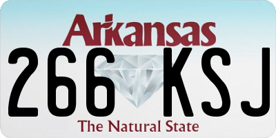 AR license plate 266KSJ