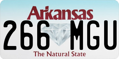AR license plate 266MGU