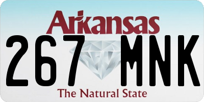 AR license plate 267MNK