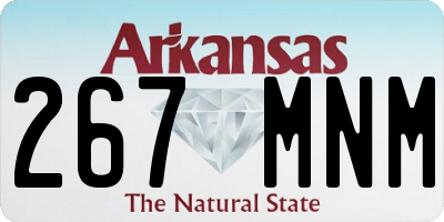 AR license plate 267MNM