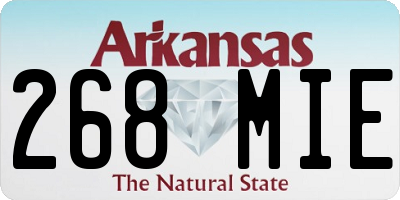 AR license plate 268MIE