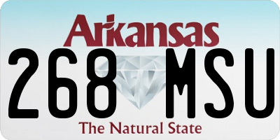 AR license plate 268MSU