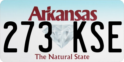 AR license plate 273KSE