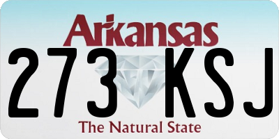 AR license plate 273KSJ