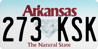 AR license plate 273KSK