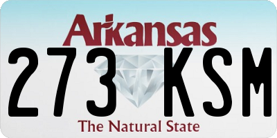 AR license plate 273KSM