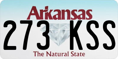 AR license plate 273KSS
