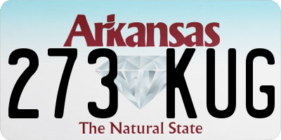 AR license plate 273KUG