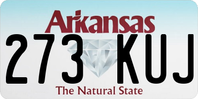 AR license plate 273KUJ