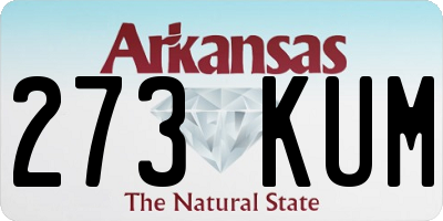 AR license plate 273KUM