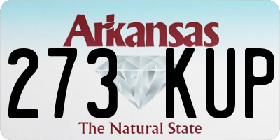 AR license plate 273KUP