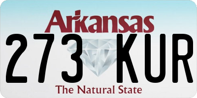 AR license plate 273KUR