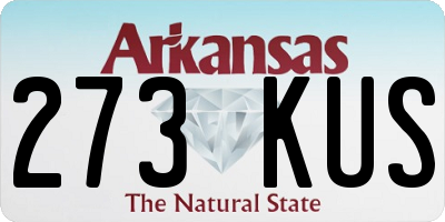 AR license plate 273KUS