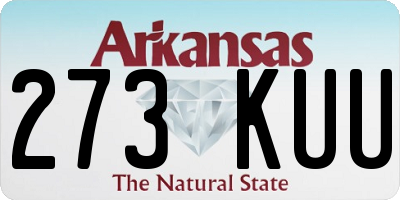 AR license plate 273KUU