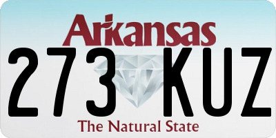AR license plate 273KUZ