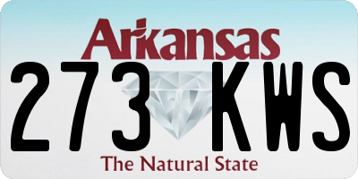 AR license plate 273KWS