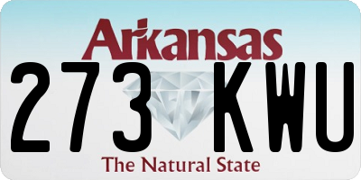 AR license plate 273KWU