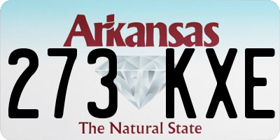 AR license plate 273KXE