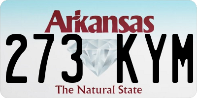 AR license plate 273KYM