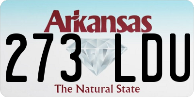 AR license plate 273LDU
