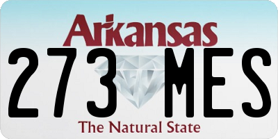 AR license plate 273MES