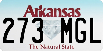 AR license plate 273MGL