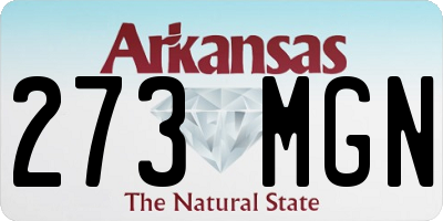 AR license plate 273MGN
