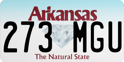 AR license plate 273MGU