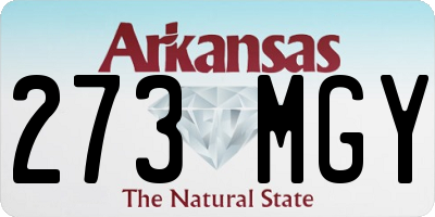 AR license plate 273MGY