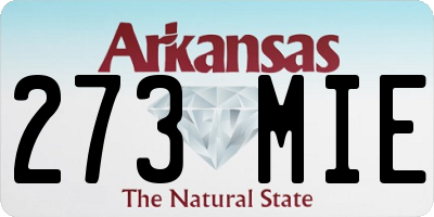 AR license plate 273MIE