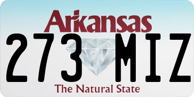 AR license plate 273MIZ