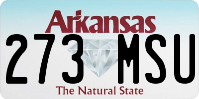AR license plate 273MSU