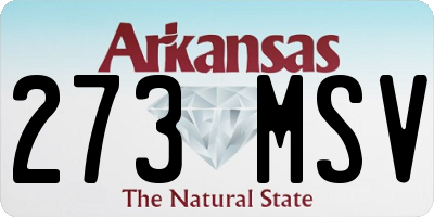 AR license plate 273MSV